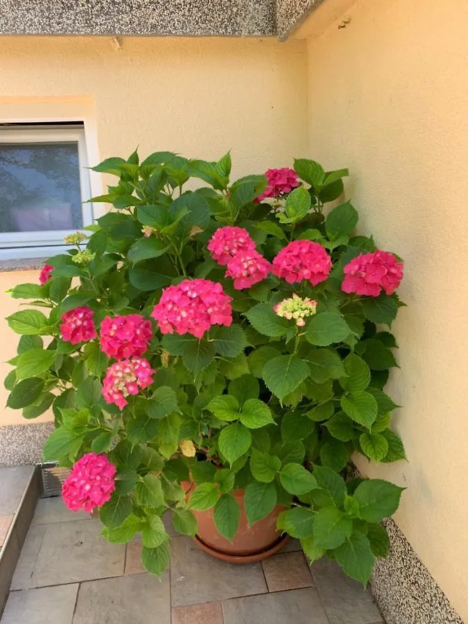Guest House Krk Town Centre